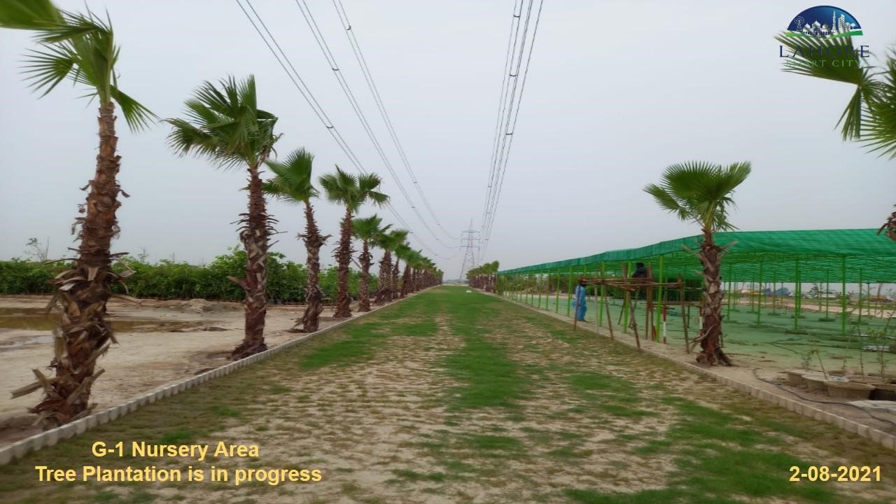 Lahore smart city Nursery Area 