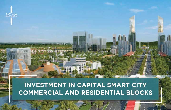 Investment in Capital Smart City